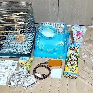 【飼育セット＋おまけ】鳥・リス飼育スターターキット
