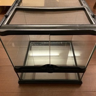 爬虫類　飼育　ケース　中古