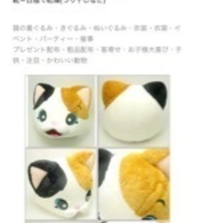 子供に大人気。猫の全身着ぐるみ　の画像