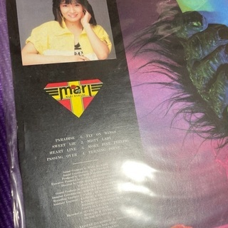 浜田麻里レコードLP中古の画像