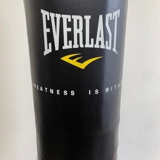 未使用　サンドバッグ　everlastの画像