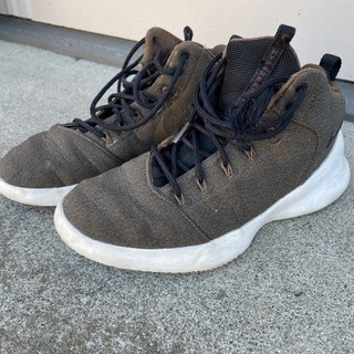 ナイキ　ハイパーフレッシュの画像