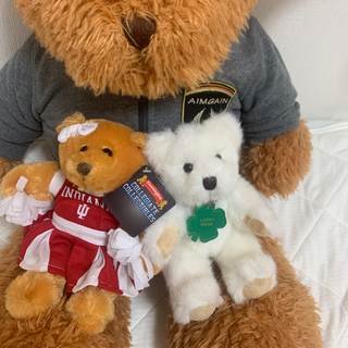 テディベアセットの画像