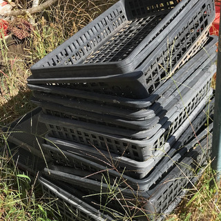 コンテナいろいろの画像