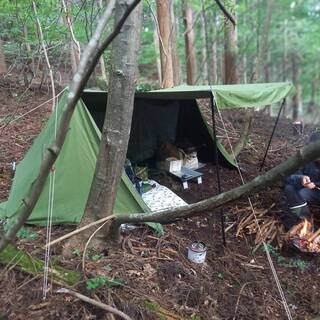 空き区画　できました！！年5.5万円～、キャンプ地、山小屋、山林は買うより借りる！　山林オーナー林業体験。販売地もあります！！ - 土地販売/土地売買