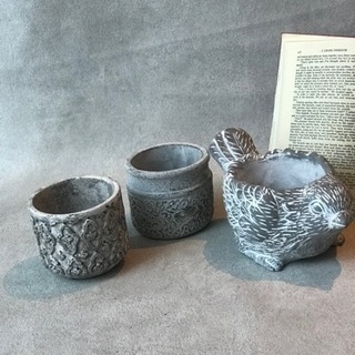 2500円♡寄せ植えレッスン♡の画像