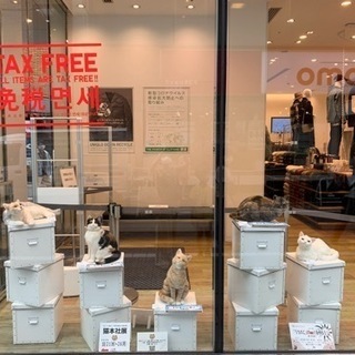 ユニクロ吉祥寺店　しっぽチャーム付きUTme! - イベント