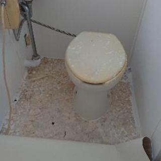 簡易水洗