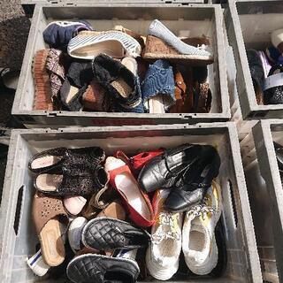 👢ブーツ サンダル パンプス ミュール スニーカー  等の画像