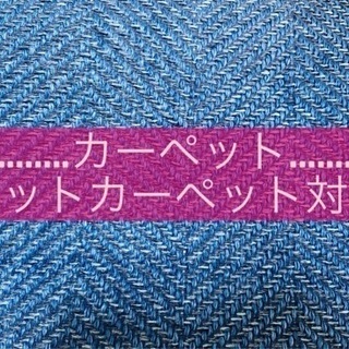 ☘️ホットカーペット対応🧡中古品✨