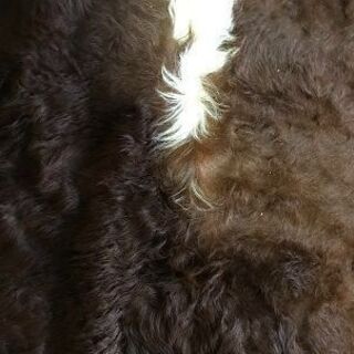 カウラグの画像