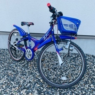 ブリヂストン エクスプレスジュニア【スピードメーター付】