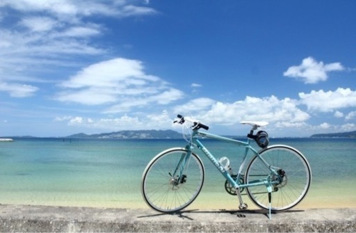 Bianchi ROMA ビアンキ ローマ  チェレステ ジャンク