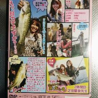 【釣りガール】りんかのＤＶＤの画像