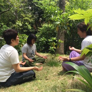 睾丸マッサージ　ジャップカサイの画像