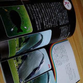 NHK大科学実験／空飛ぶクジラの画像