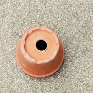 植木鉢  6号   赤焼き   の画像