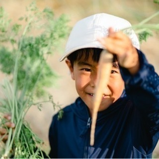野菜の収穫体験　(じゃがいも、さといも、レタス、にんじん等)