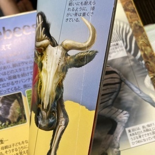 図鑑の画像
