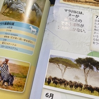 図鑑の画像