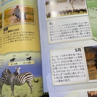 図鑑の画像