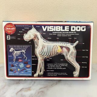 skil craft社製 VISIBLE DOG プラモデル 骨...