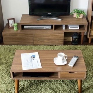 テレビ台とセンターテーブル 