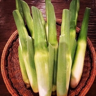 マコモダケ　（神が宿る草の実）1Kg