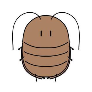 デュビア　アルゼンチンモリゴキブリ　爬虫類エサ