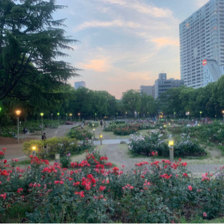 大阪市内ウォーキング🚶‍♀️♡
