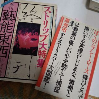 『＜ストリップ＞紀行6点』の画像