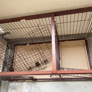 ドッグルーム　犬ルームの画像