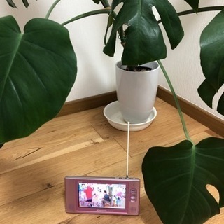 Panasonic VIERA ワンセグ   防水テレビ  お風...