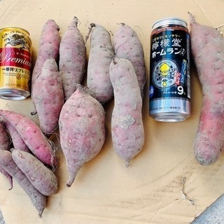 《紅はるか》大中小ミックス　約2.5Kg　土付き