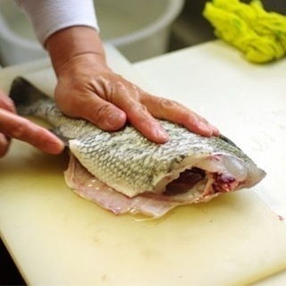 10/21に魚を捌ける方いますか？【もちろん有料でokです】