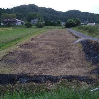 田んぼ1反5畝ぐらい - 常陸大宮市
