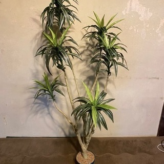 ✅取引決定。人工観葉植物