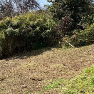 無農薬自然農を応援！横浜南区高台にある完全無農薬レンタルの永田南農園