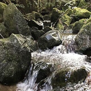 熱海・三島エリアで小川のせせらぎを聞きながら自然農！完全無農薬レンタル農園　南箱根農園 - 地元のお店