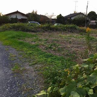 古河市南間中橋の土地情報
