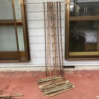 黒竹 クロチク 竹細工 カゴ編み 茶せん 釣竿などの製作にの画像