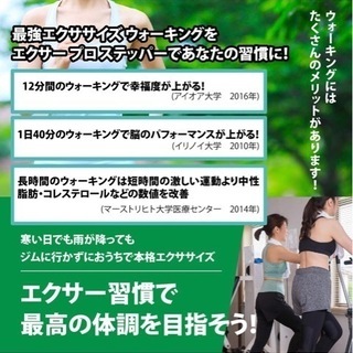 Xiser(エクサー) Pro Trainer プロ ステッパー ブラック メンタリストDaiGo愛用の画像
