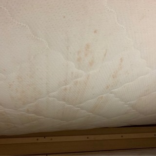 シングルベット2組の画像