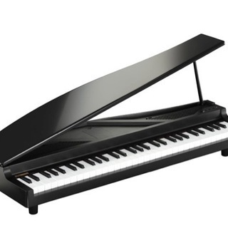 KORG MICROPIANO マイクロピアノ ミニ鍵盤61鍵 ブラック 61曲のデモソング内蔵 自動演奏可能の画像