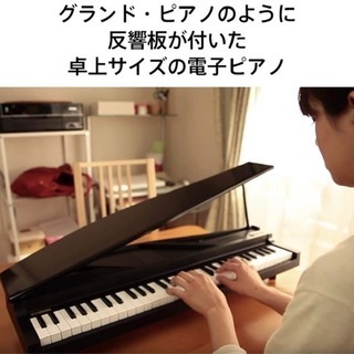 KORG MICROPIANO マイクロピアノ ミニ鍵盤61鍵 ブラック 61曲のデモソング内蔵 自動演奏可能の画像