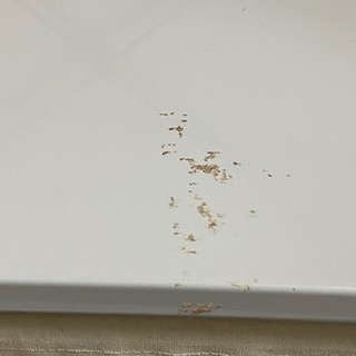 ワードローブ　無印良品の画像