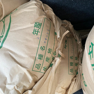 ササニシキ令和２年産　玄米30キロ 4500円　2袋のみ
