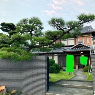 庭のプロ
