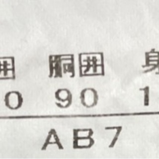 ＜終了＞【販売】メンズスーツ（2パンツ（AB7））の画像