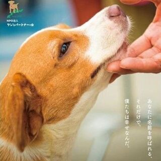 Autumn marché＋家族をつなぐ写真展 by 大城陽次郎 - イベント